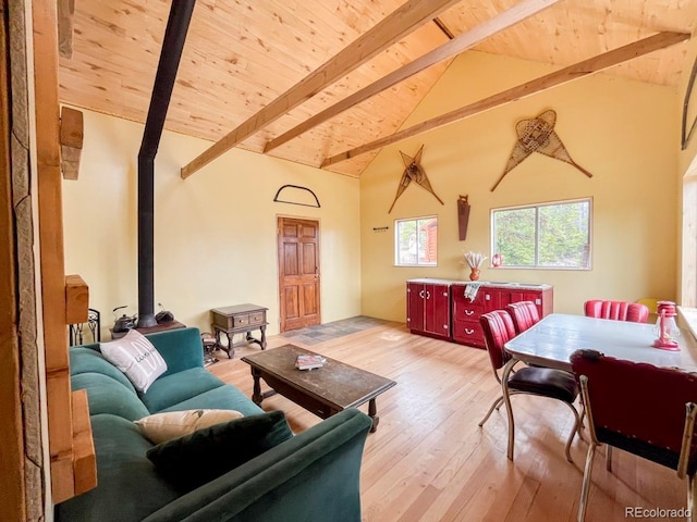 3190 Forest Road 503, Creede, CO 81130 - photo 17