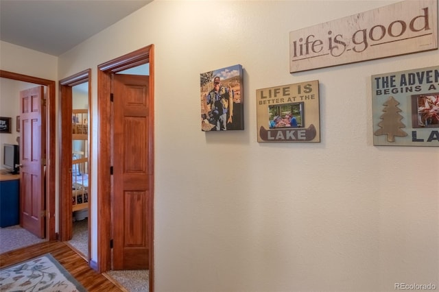 1348 Gcr 64, Grand Lake, CO 80447 - hallway with wood finished floors