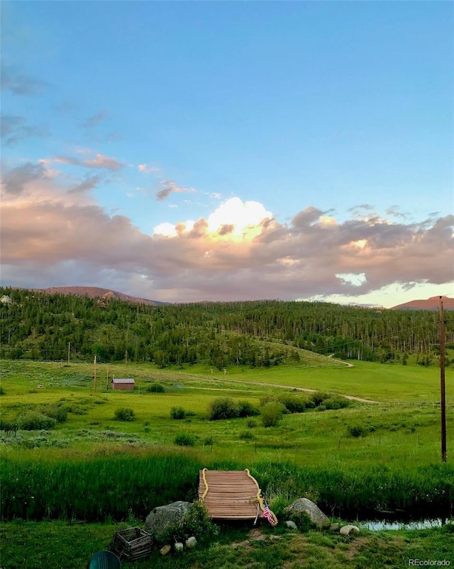 1348 Gcr 64, Grand Lake, CO 80447 - view of property's community featuring a forest view
