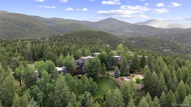 1275 Silver Tip Ln, Evergreen, CO 80439 - photo 1