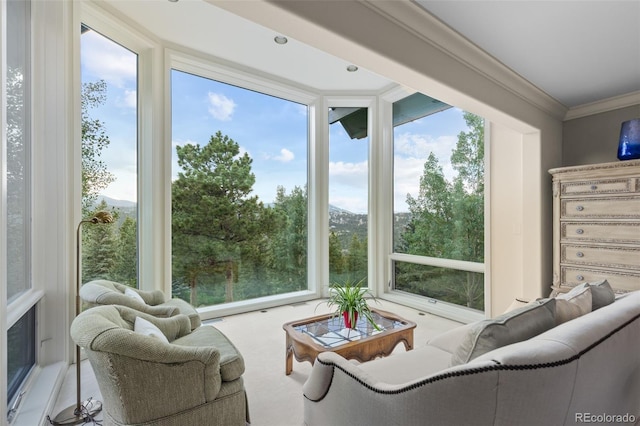 1275 Silver Tip Ln, Evergreen, CO 80439 - photo 13