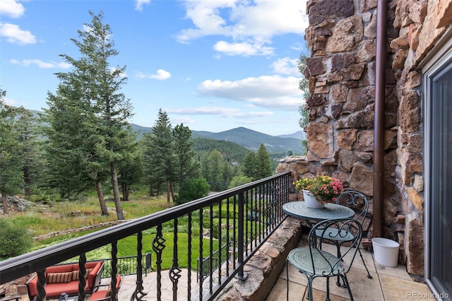 1275 Silver Tip Ln, Evergreen, CO 80439 - photo 18