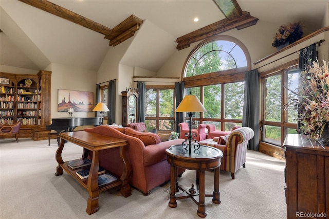 1275 Silver Tip Ln, Evergreen, CO 80439 - photo 28