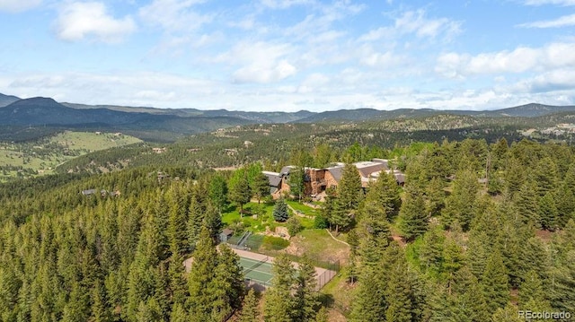 1275 Silver Tip Ln, Evergreen, CO 80439 - photo 50