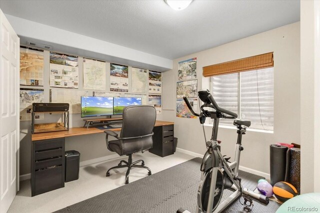 6662 Fonder Dr, Parker, CO 80134 - photo 26