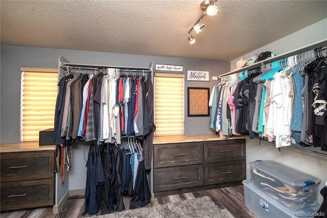 14962 Williams St, Thornton, CO 80602 - walk in closet featuring dark wood-style floors