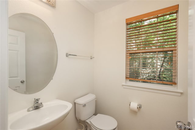 9496 Elmhurst Ln Unit A, Highlands Ranch, CO 80129 - photo 19