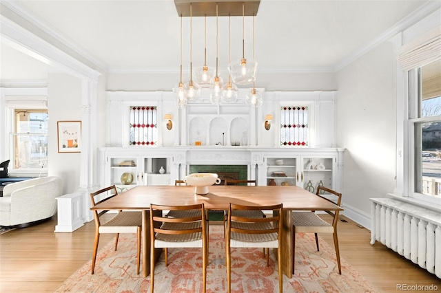 dining room with radiator heating unit, ornamental molding, and light wood-type flooring