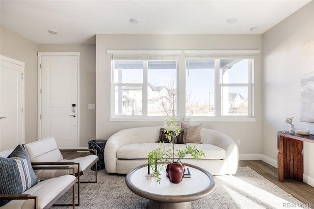 living room featuring plenty of natural light and light hardwood / wood-style flooring