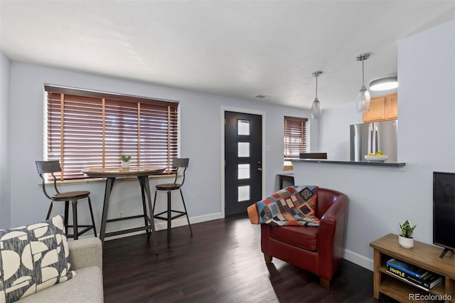 living room with dark hardwood / wood-style floors