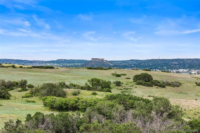 225 Briscoe Ln, Castle Rock, CO 80109 - photo 48