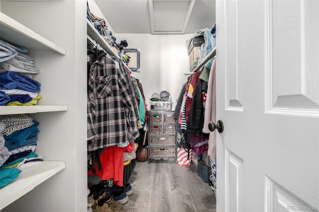 spacious closet featuring wood-type flooring