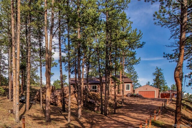 16 Rainier Cir, Florissant, CO 80816 - photo 4