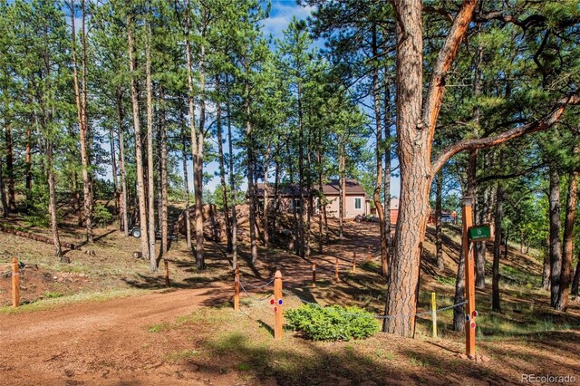 16 Rainier Cir, Florissant, CO 80816 - photo 5