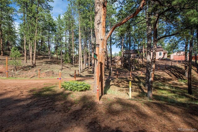 16 Rainier Cir, Florissant, CO 80816 - photo 6