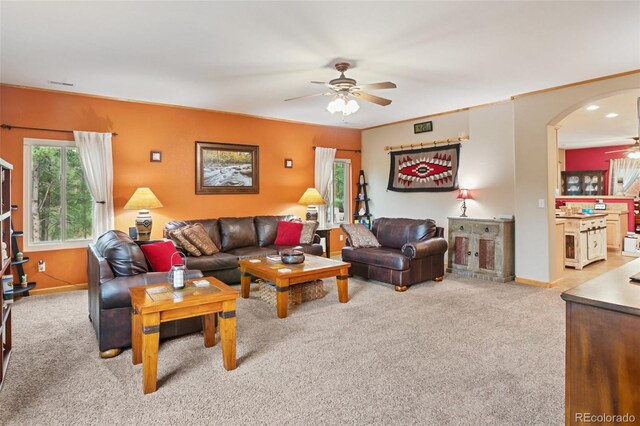 16 Rainier Cir, Florissant, CO 80816 - photo 7