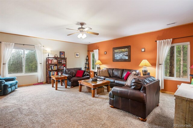 16 Rainier Cir, Florissant, CO 80816 - photo 8