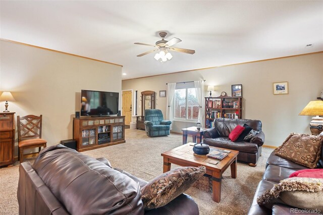 16 Rainier Cir, Florissant, CO 80816 - photo 9