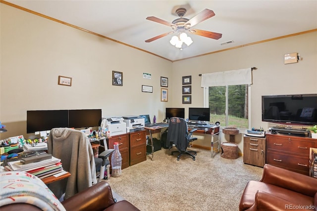 16 Rainier Cir, Florissant, CO 80816 - photo 10