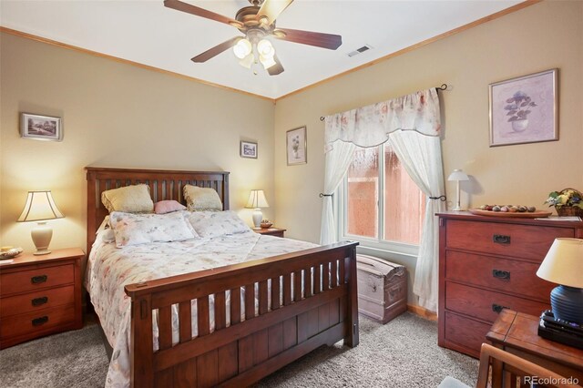 16 Rainier Cir, Florissant, CO 80816 - photo 20