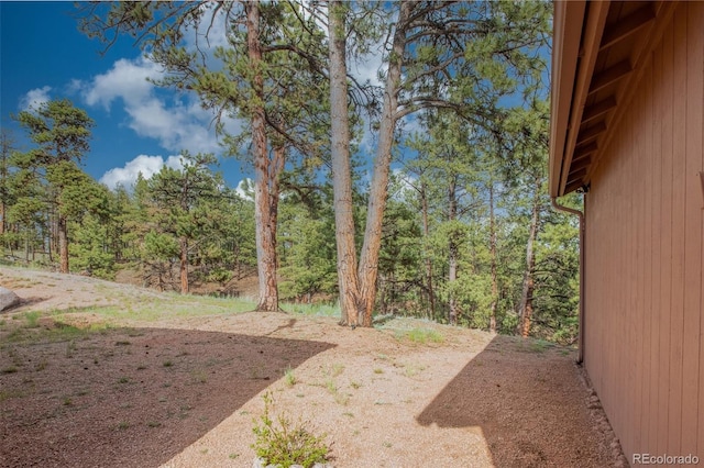 16 Rainier Cir, Florissant, CO 80816 - photo 30
