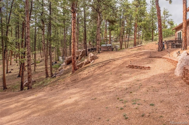 16 Rainier Cir, Florissant, CO 80816 - photo 31