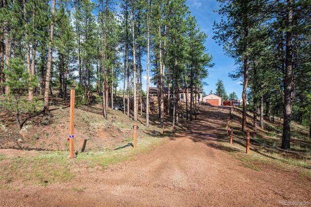 16 Rainier Cir, Florissant, CO 80816 - photo 33