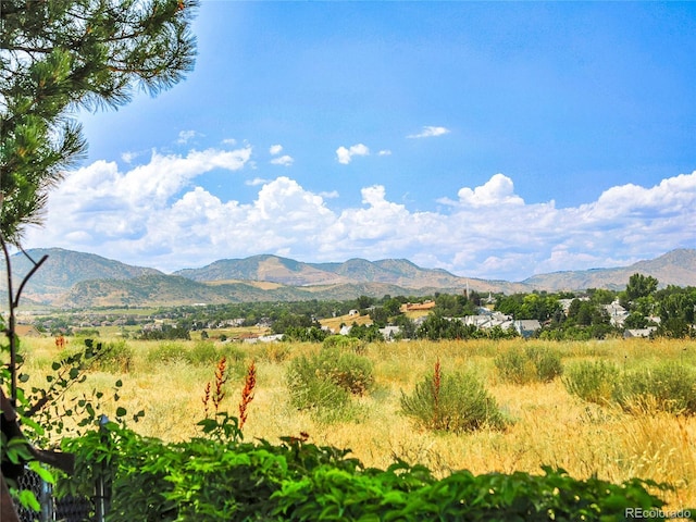 8785 W Quarto Cir, Littleton, CO 80128 - photo 5