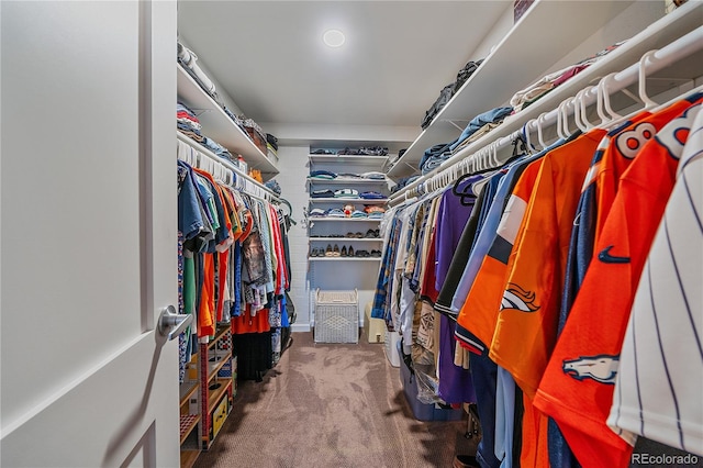 walk in closet with carpet floors