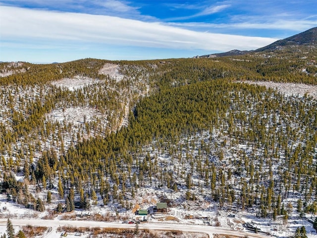 2476 S Beaver Creek Rd, Black Hawk, CO 80422 - mountain view featuring a heavily wooded area