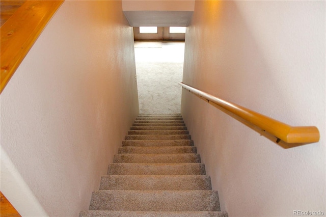 staircase featuring carpet floors