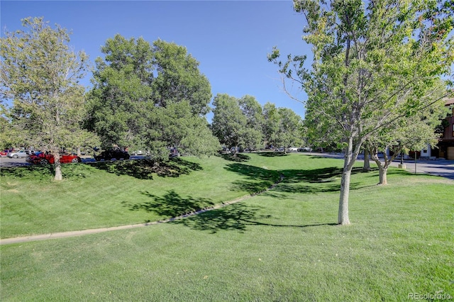 view of property's community featuring a lawn