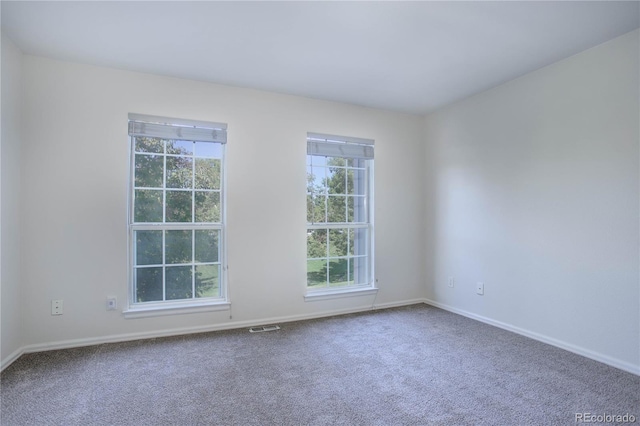 carpeted empty room with plenty of natural light