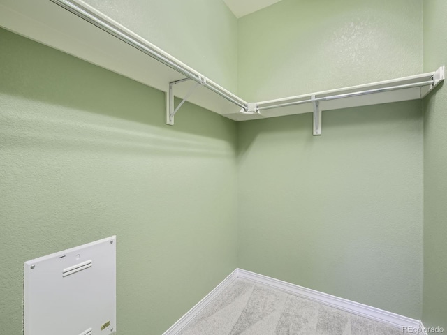 2133 Krisron Rd Unit A202, Fort Collins, CO 80525 - spacious closet with carpet flooring