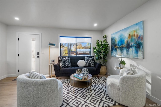 living room with wood-type flooring