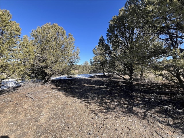 Listing photo 2 for 10118 Rawhide Creek Rd, Nathrop CO 81236