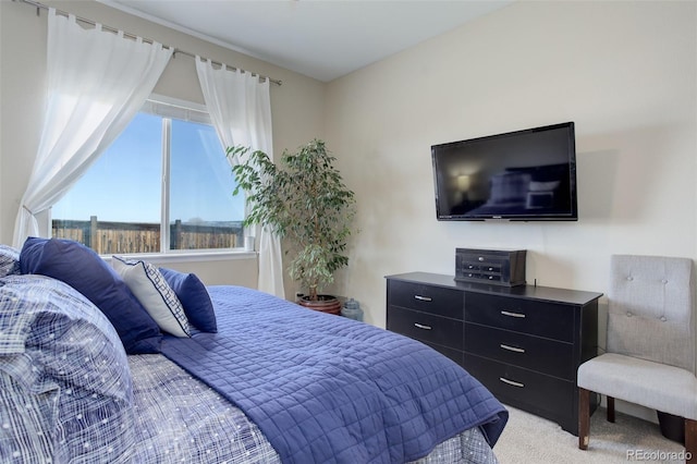 bedroom featuring light colored carpet