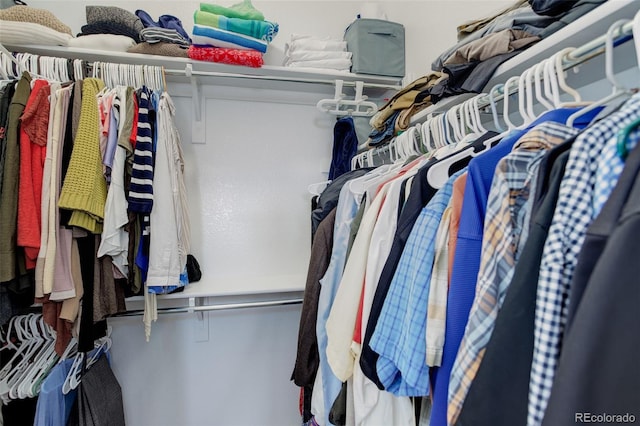 view of spacious closet