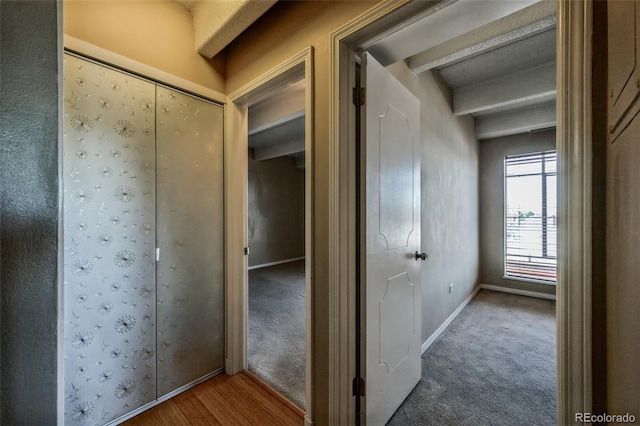 hall with carpet flooring, wood finished floors, and baseboards