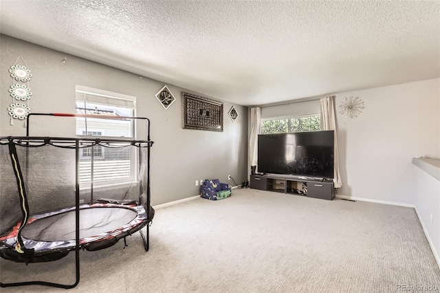 4955 Genoa St, Denver, CO 80249 - carpeted living area with a textured ceiling and baseboards