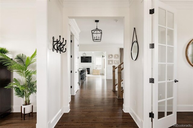 corridor featuring baseboards, ornamental molding, and dark wood-style floors