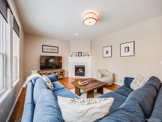 living room featuring hardwood / wood-style floors