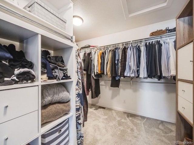 walk in closet featuring light carpet