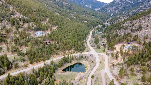 1521 Witter Gulch Rd, Evergreen, CO 80439 - photo 1