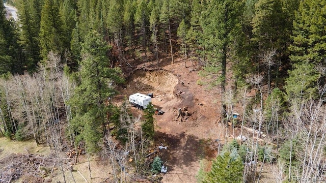 1521 Witter Gulch Rd, Evergreen, CO 80439 - photo 3