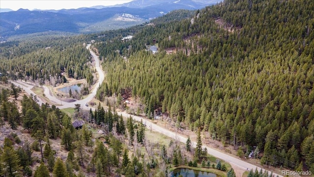 1521 Witter Gulch Rd, Evergreen, CO 80439 - photo 4