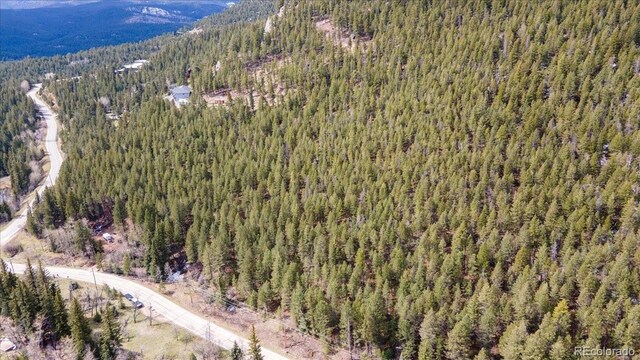 1521 Witter Gulch Rd, Evergreen, CO 80439 - photo 5