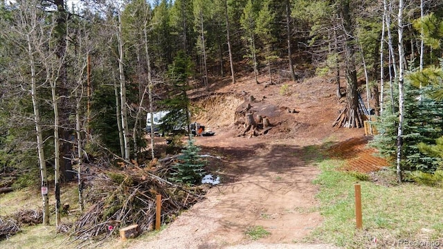 1521 Witter Gulch Rd, Evergreen, CO 80439 - photo 7