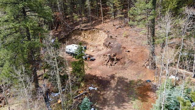 1521 Witter Gulch Rd, Evergreen, CO 80439 - photo 8