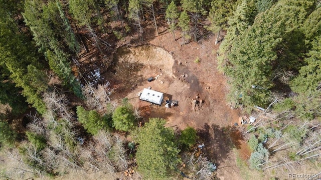 1521 Witter Gulch Rd, Evergreen, CO 80439 - photo 9